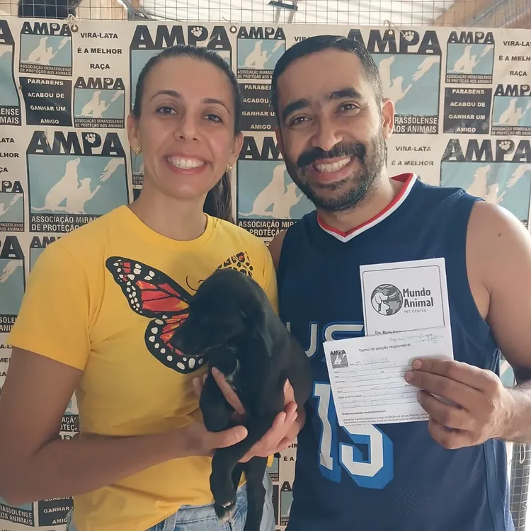 Cachorro SRD (Sem Raça Definida) sorrindo feliz com sua nova família adotiva após adoção na AMPA Mirassol