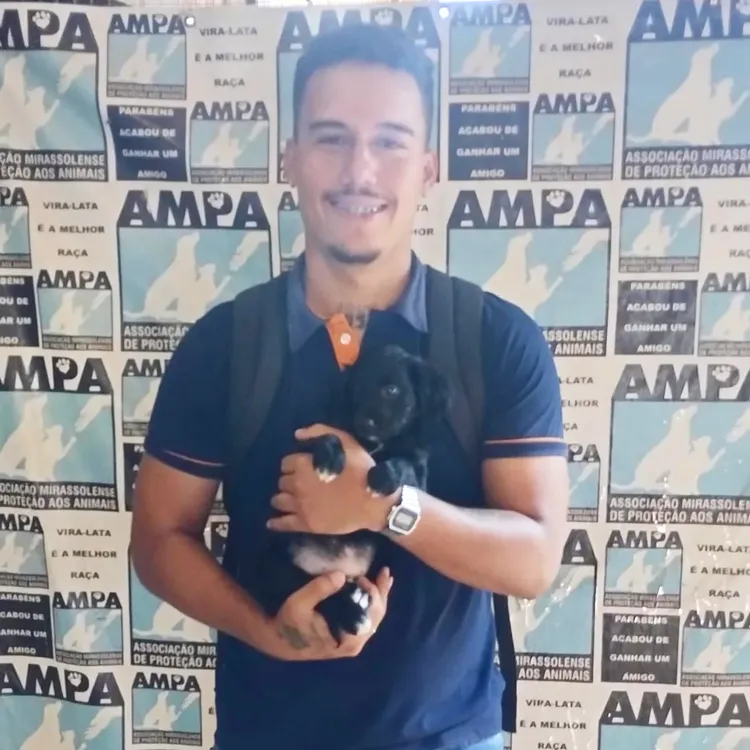 Gatinho resgatado dormindo tranquilo e seguro em sua nova caminha, desfrutando de um lar amoroso