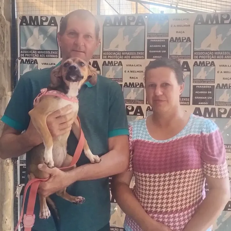 Cachorro idoso que ganhou uma segunda chance passeando no parque ao lado de seus tutores definitivos