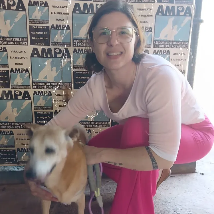 Final feliz de adoção: cachorro resgatado das ruas agora exibe um semblante feliz e saudável em segurança